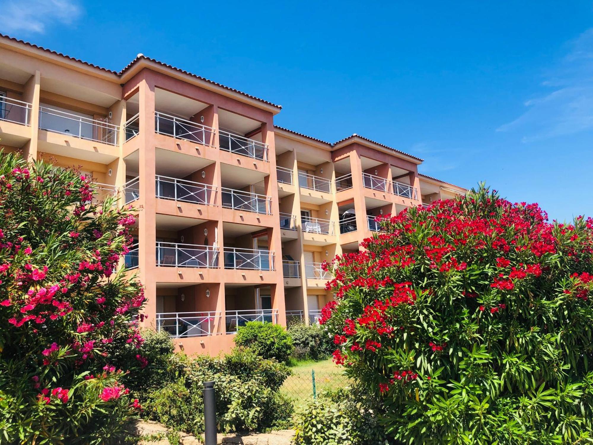 Superbe T2 Vue Mer - Piscine & Plage A 100M Ajaccio  Exterior foto